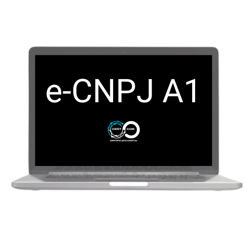 e-CNPJ A1 12 Meses